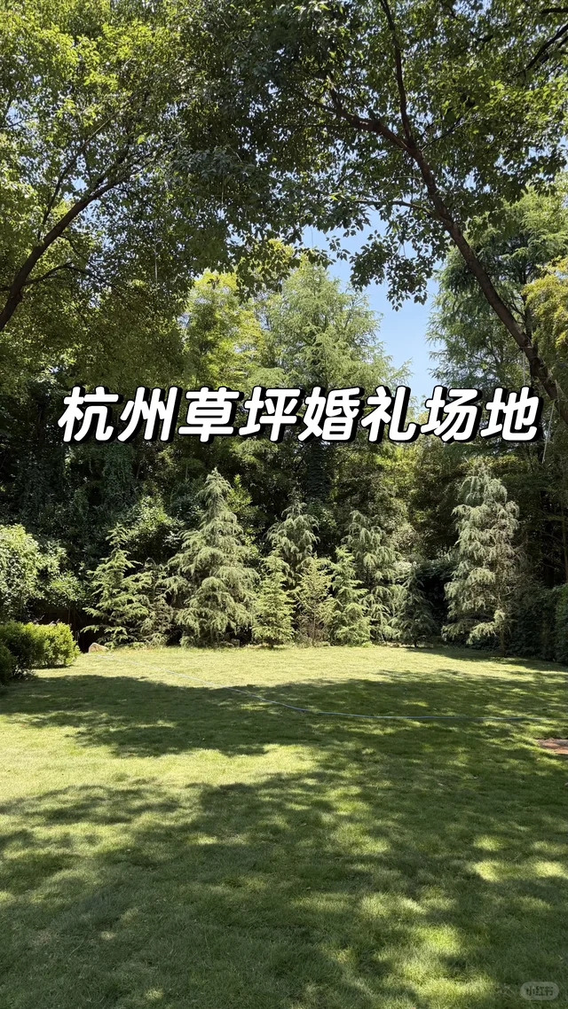 同坞里被树林环绕的户外草坪场地实景